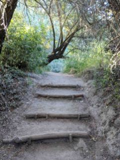 Steps along the trail