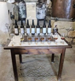 A table set up to allow visitors to smell (not drink) the different types of sherry available at Bodegas Gonzalez-Byass