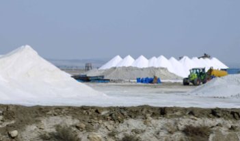 Harvesting Sea Salt